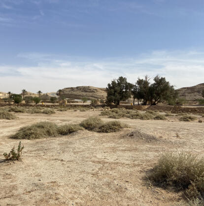 WADI AL SULAI DISTRICT