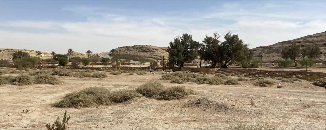 WADI AL SULAI DISTRICT